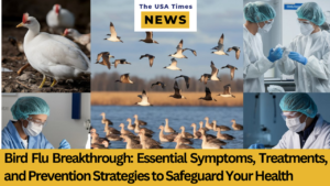 Bird Flu Insights: Key Symptoms, Effective Treatments, and Prevention Tips for Your Safety in Year 2024 